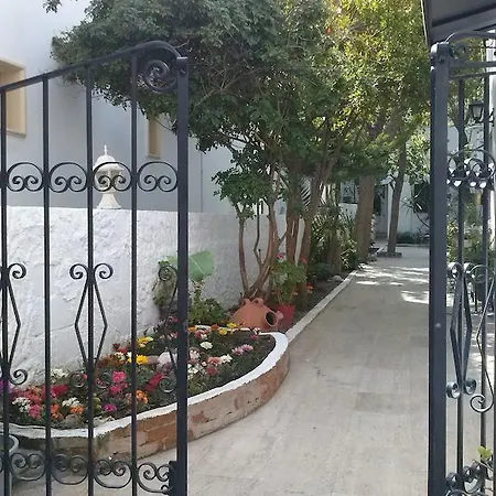Tay Αλικαρνασσός