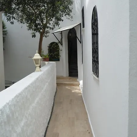 Tay Bodrum