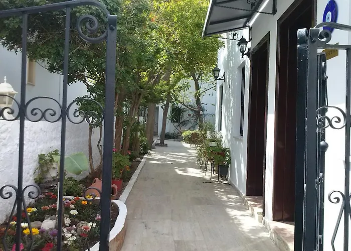 Oda ve Kahvaltı Tay