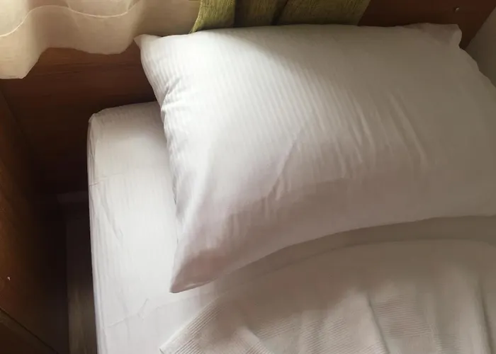 Oda ve Kahvaltı Tay Bodrum