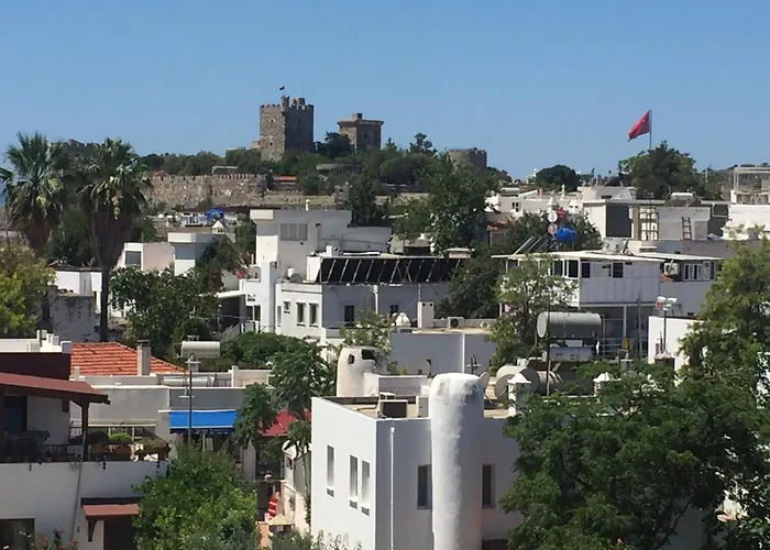Oda ve Kahvaltı Tay Bodrum