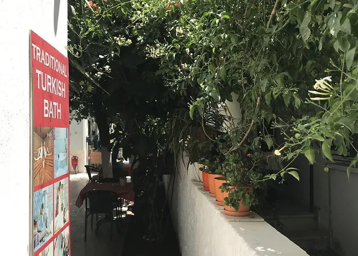 泰帕昂斯昂酒店 住宿加早餐酒店